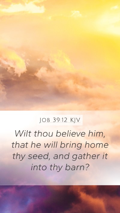 Job 39:12 Explained