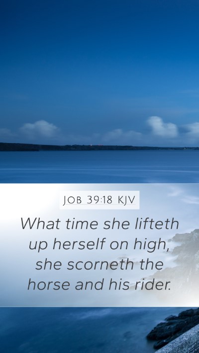 Job 39:18 Explained