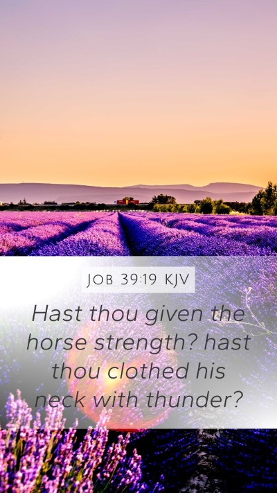 Job 39:19 Explained