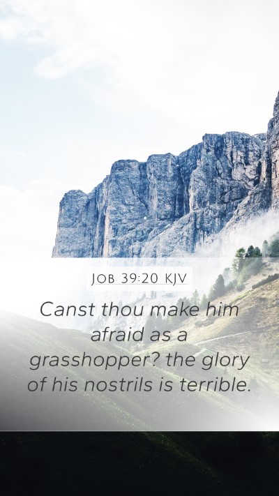 Job 39:20 Explained