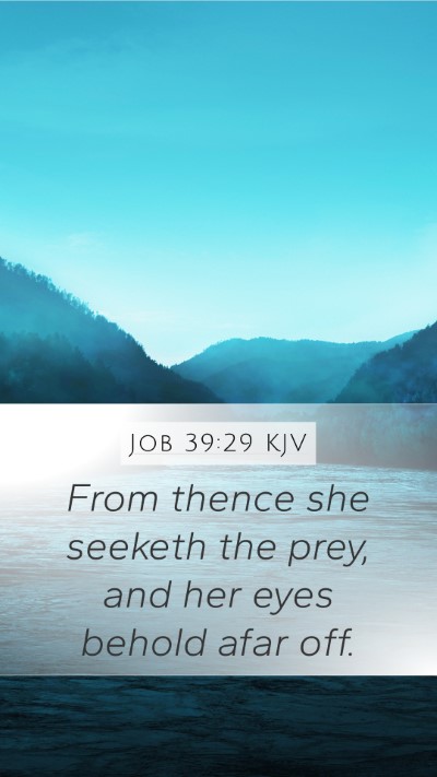 Job 39:29 Explained