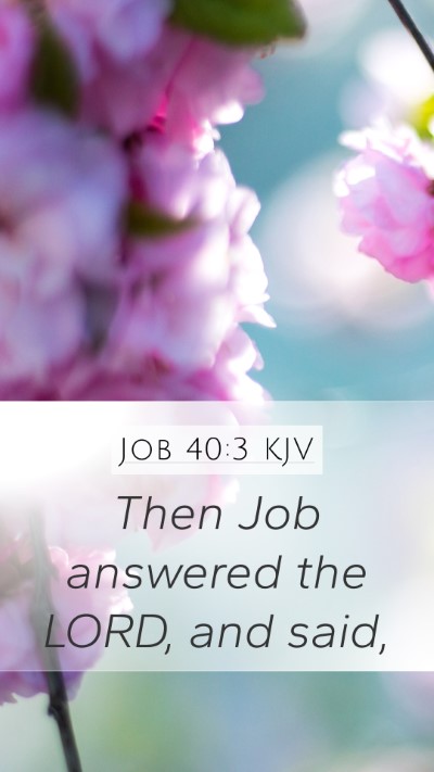 Job 40:3 Explained