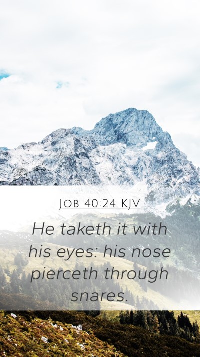 Job 40:24 Explained