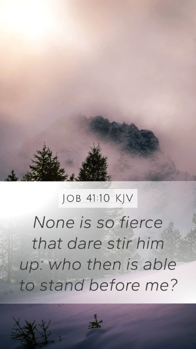 Job 41:10 Explained