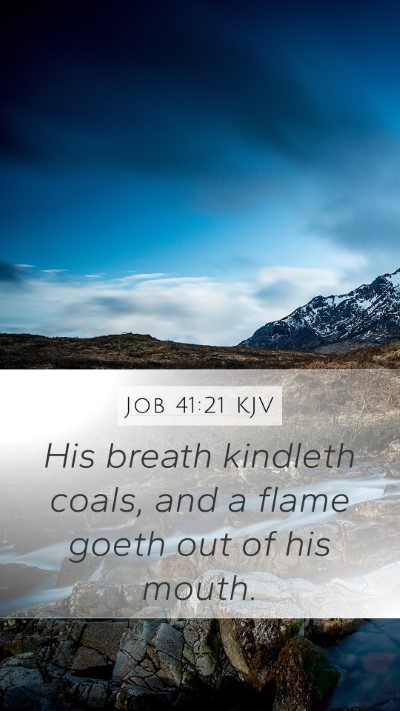 Job 41:21 Explained