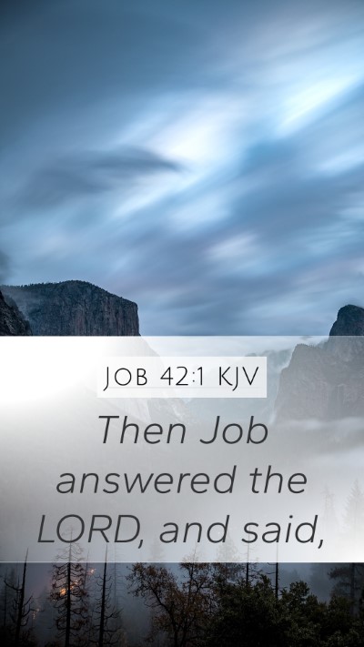 Job 42:1 Explained