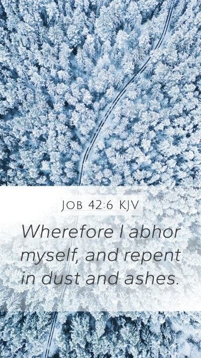 Job 42:6 Explained