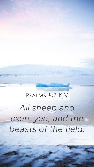 Psalms 8:7 Explained