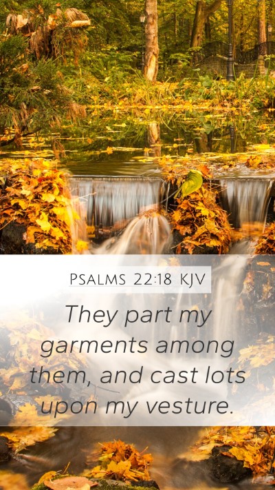 Psalms 22:18 Explained