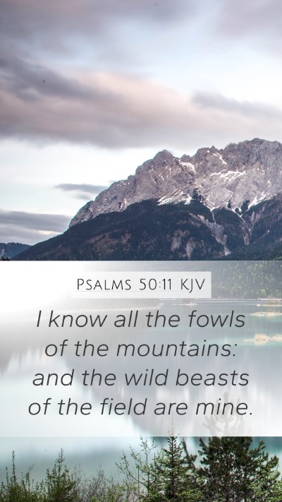 Psalms 50:11 Explained