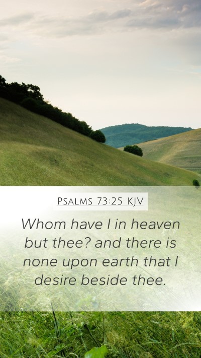 Psalms 73:25 Explained