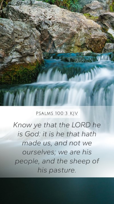 Psalms 100:3 Explained