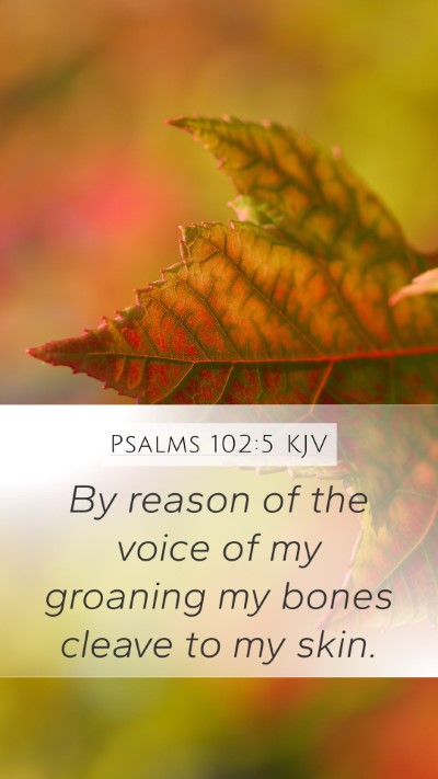 Psalms 102:5 Explained