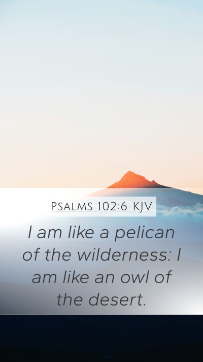 Psalms 102:6 Explained