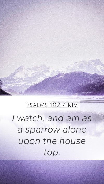 Psalms 102:7 Explained