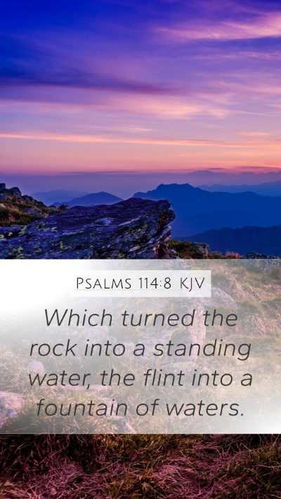 Psalms 114:8 Explained