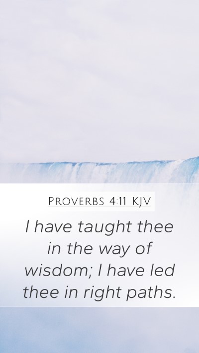 Proverbs 4:11 Explained