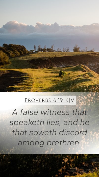 Proverbs 6:19 Explained