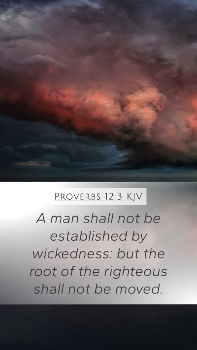 Proverbs 12:3 Explained