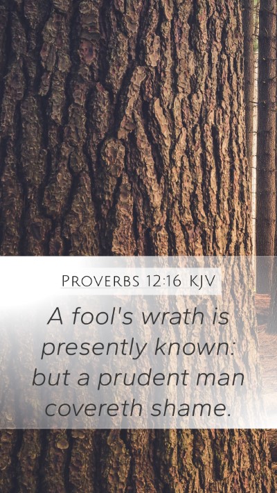 Proverbs 12:16 Explained