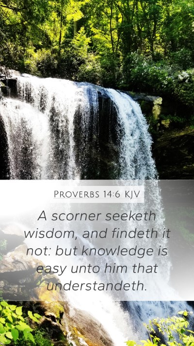 Proverbs 14:6 Explained