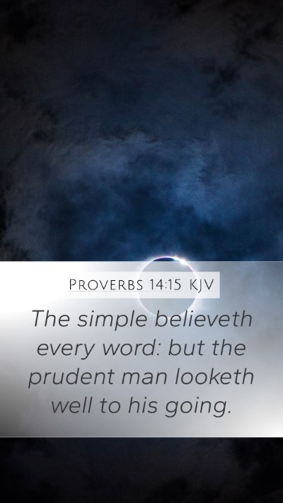 Proverbs 14:15 Explained