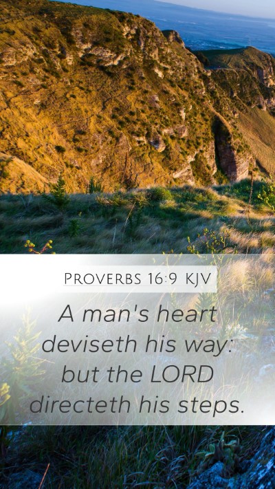 Proverbs 16:9 Explained