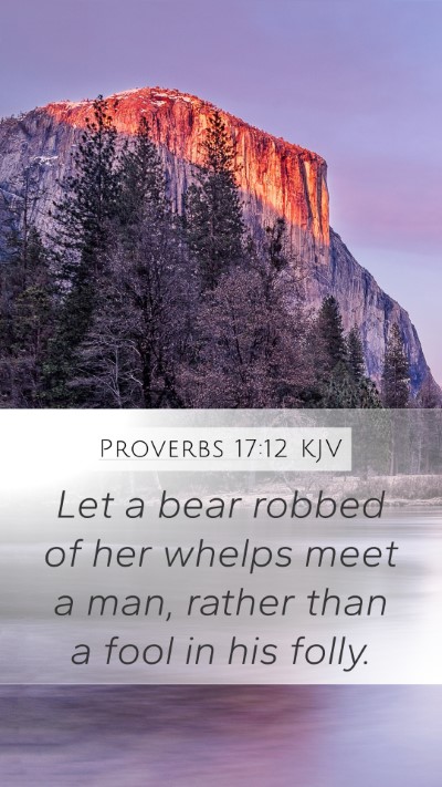 Proverbs 17:12 Explained