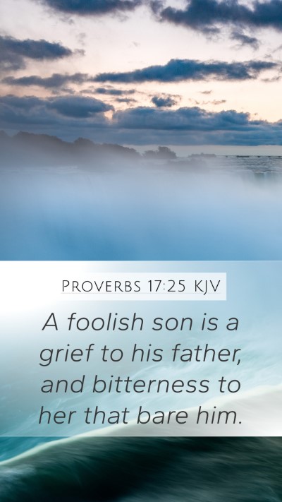 Proverbs 17:25 Explained