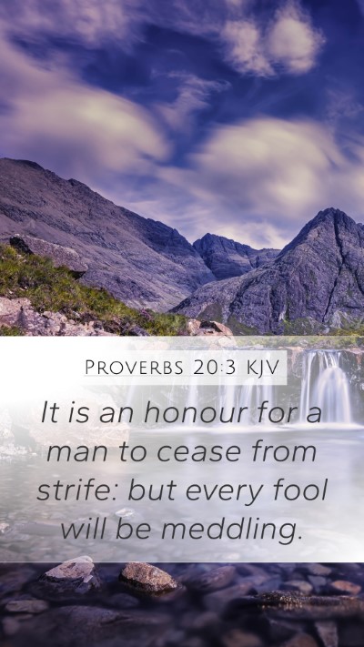 Proverbs 20:3 Explained