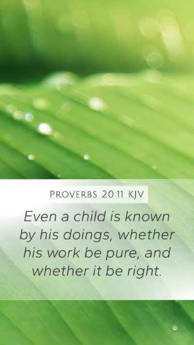 Proverbs 20:11 Explained