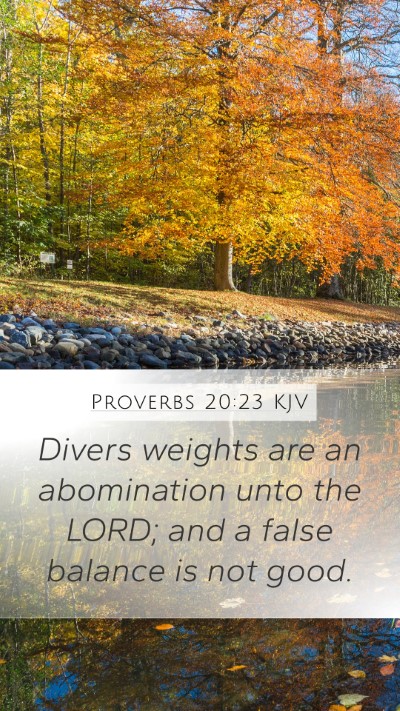 Proverbs 20:23 Explained