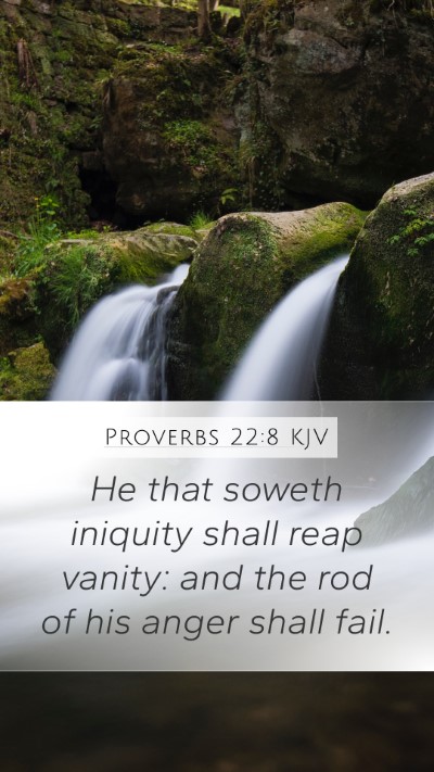 Proverbs 22:8 Explained