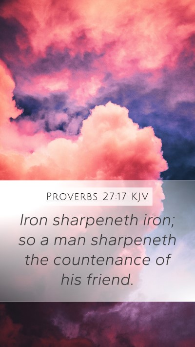 Proverbs 27:17 Explained