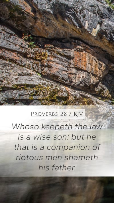 Proverbs 28:7 Explained