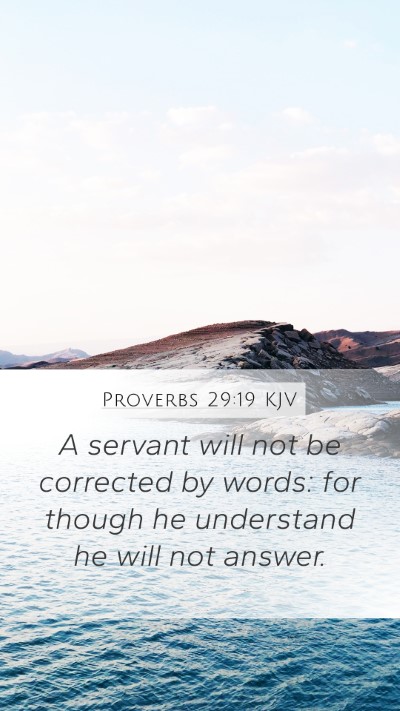 Proverbs 29:19 Explained