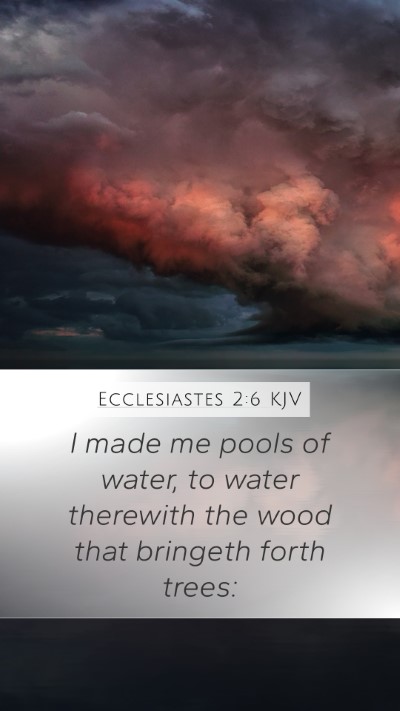 Ecclesiastes 2:6 Explained