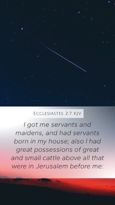 Ecclesiastes 2:7 Explained