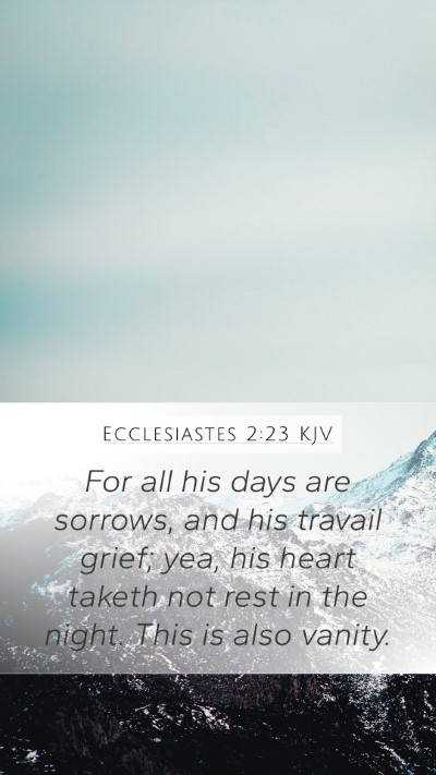 Ecclesiastes 2:23 Explained