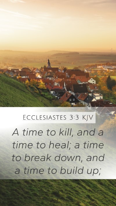 Ecclesiastes 3:3 Explained