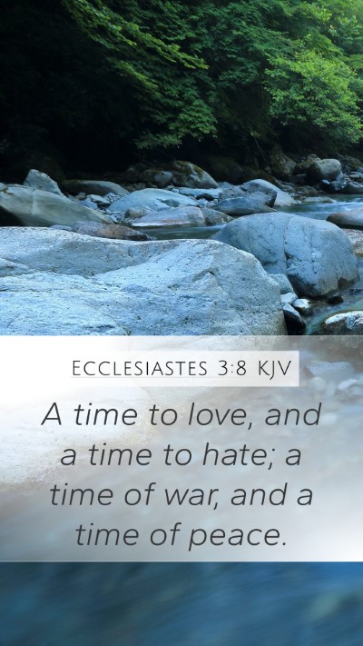 Ecclesiastes 3:8 Explained