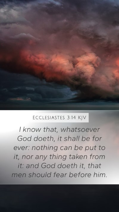 Ecclesiastes 3:14 Explained