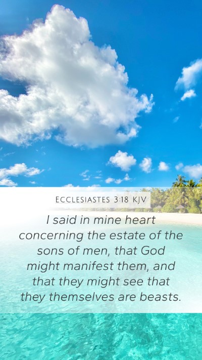 Ecclesiastes 3:18 Explained