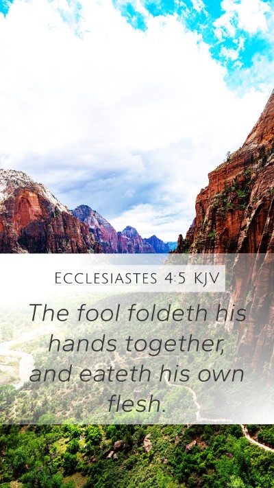 Ecclesiastes 4:5 Explained