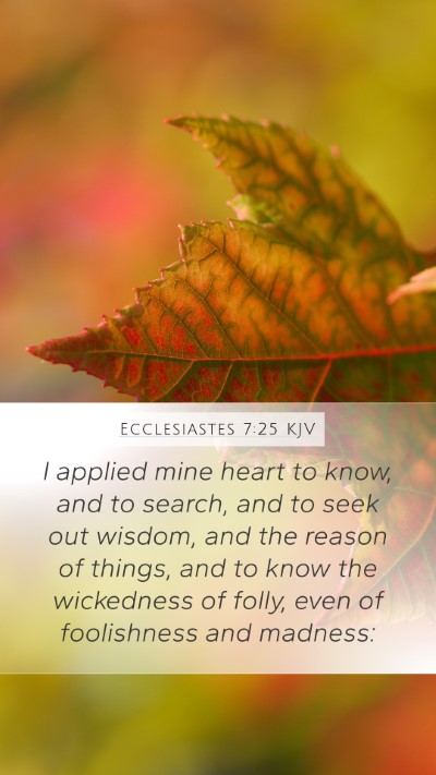 Ecclesiastes 7:25 Explained