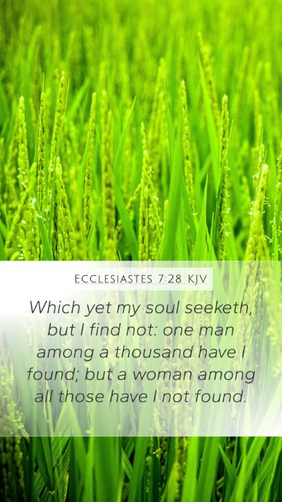 Ecclesiastes 7:28 Explained