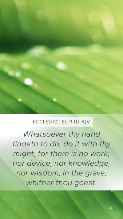 Ecclesiastes 9:10 Explained