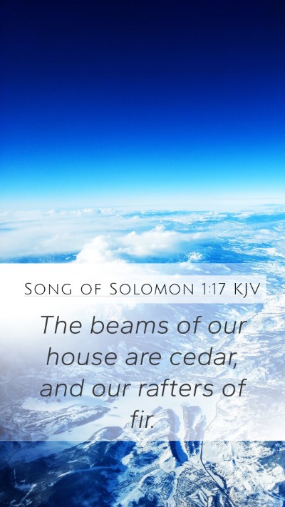 Song of Solomon 1:17 Explained