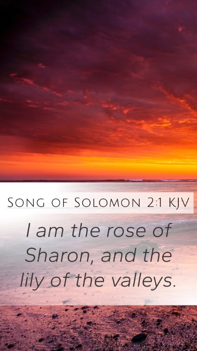 Song of Solomon 2:1 Explained