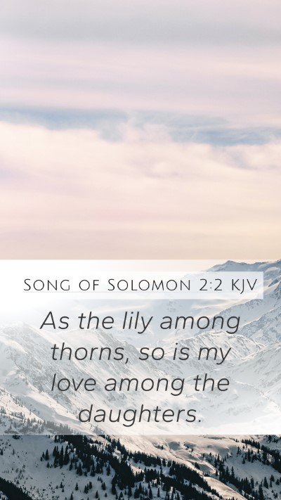 Song of Solomon 2:2 Explained